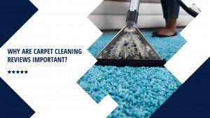 Why Are Carpet Cleaning Reviews Important?