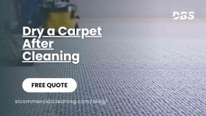 Dry a Carpet After Cleaning