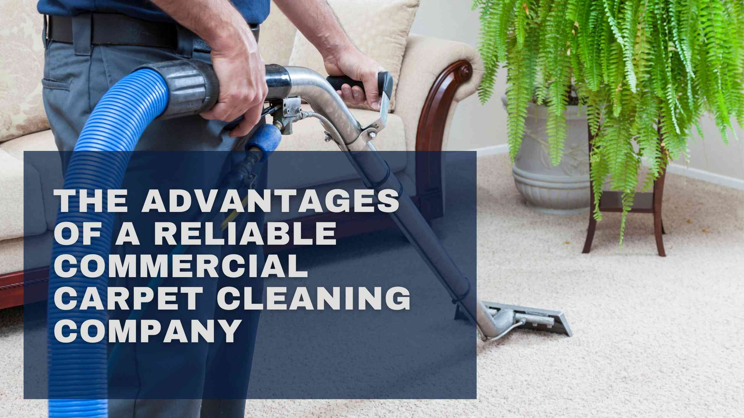 The Advantages of a Reliable Commercial Carpet Cleaning